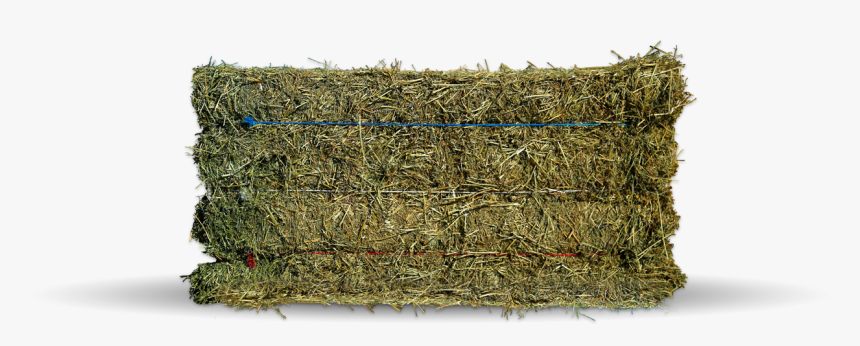 Hay, HD Png Download, Free Download