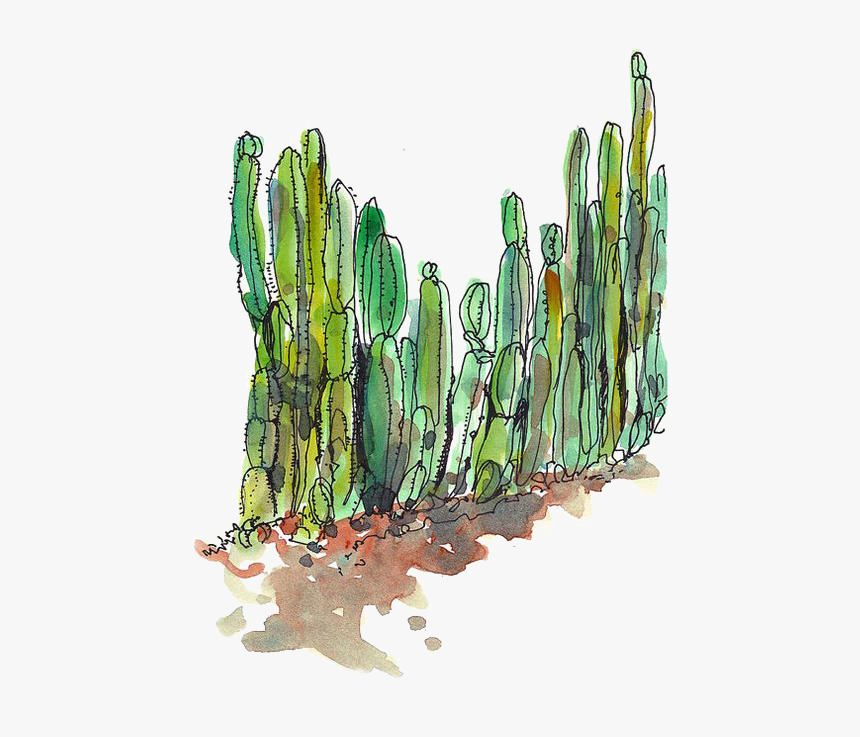 Transparent Desert Cactus Png - Cactus Transparent, Png Download, Free Download