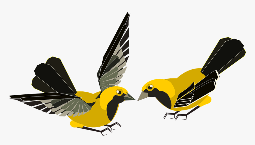 Aves, Birds, Fluttering, Animals, Yellow, Black, Wings - Bird Kissing Clipart Transparent, HD Png Download, Free Download