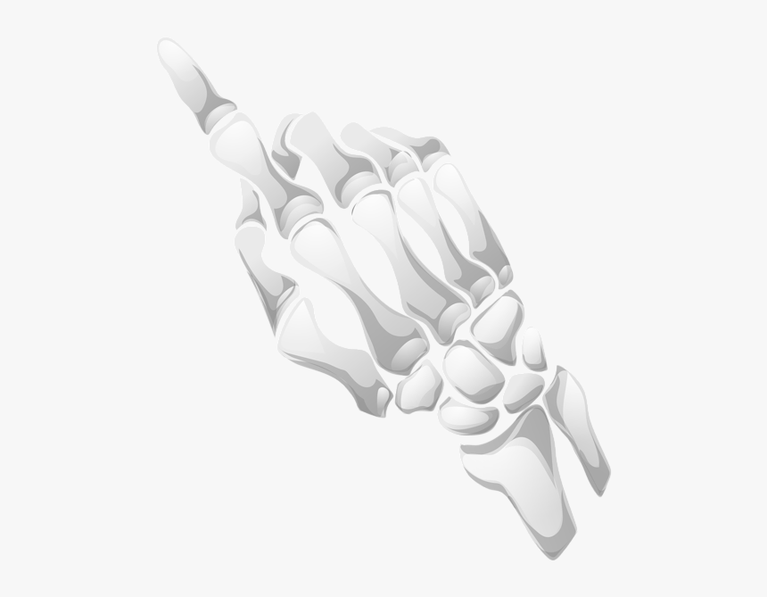 Human Skeleton Hand Bone Clip Art - Transparent Skeleton Hand Png, Png Download, Free Download