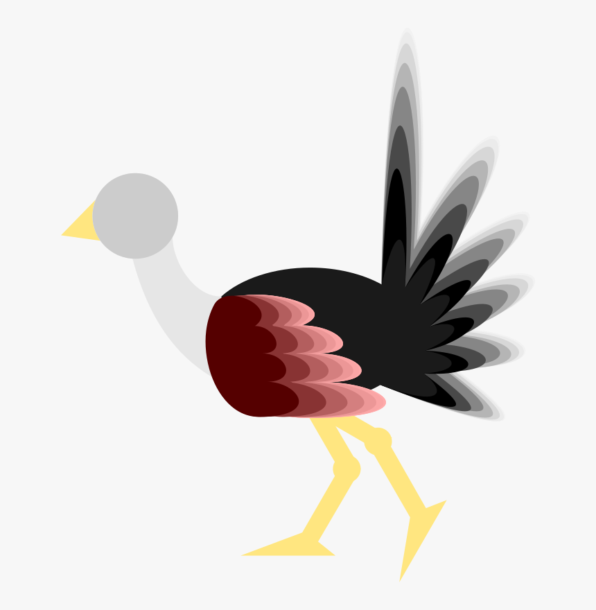Ostrich - Common Ostrich, HD Png Download, Free Download