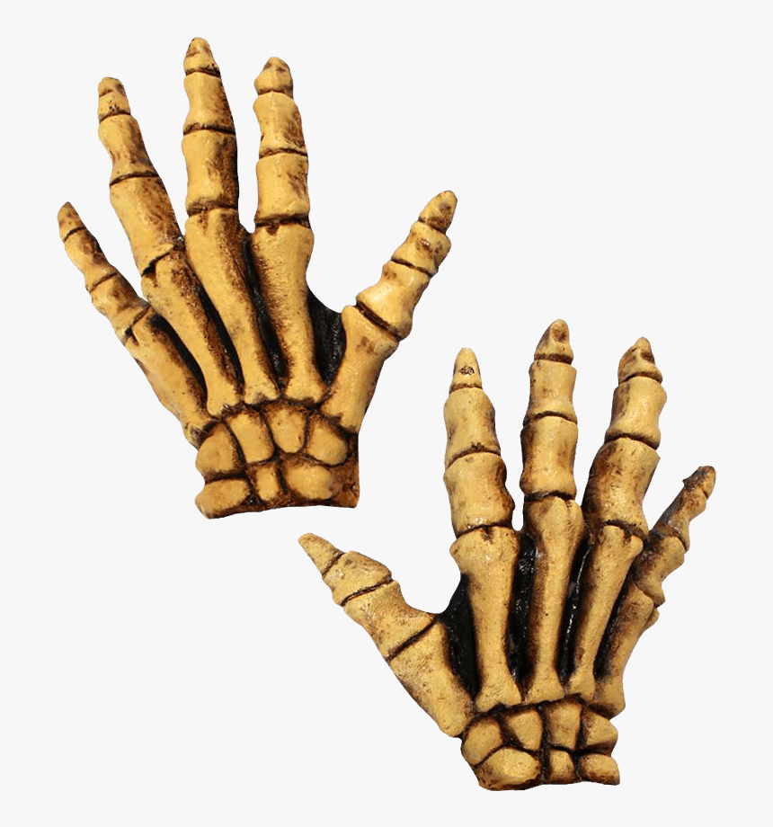 Bones Costume Hands - Halloween Skeleton Gloves, HD Png Download, Free Download