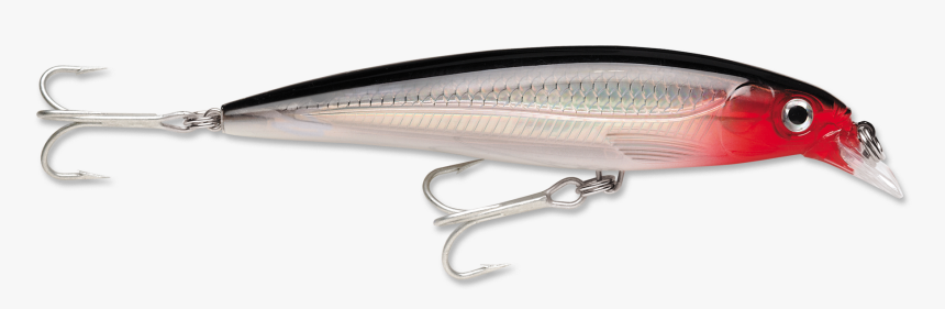 Rapala X Rap Sxr 10, HD Png Download, Free Download