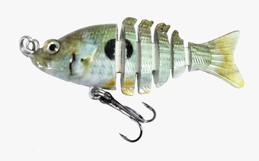 Perch, HD Png Download, Free Download