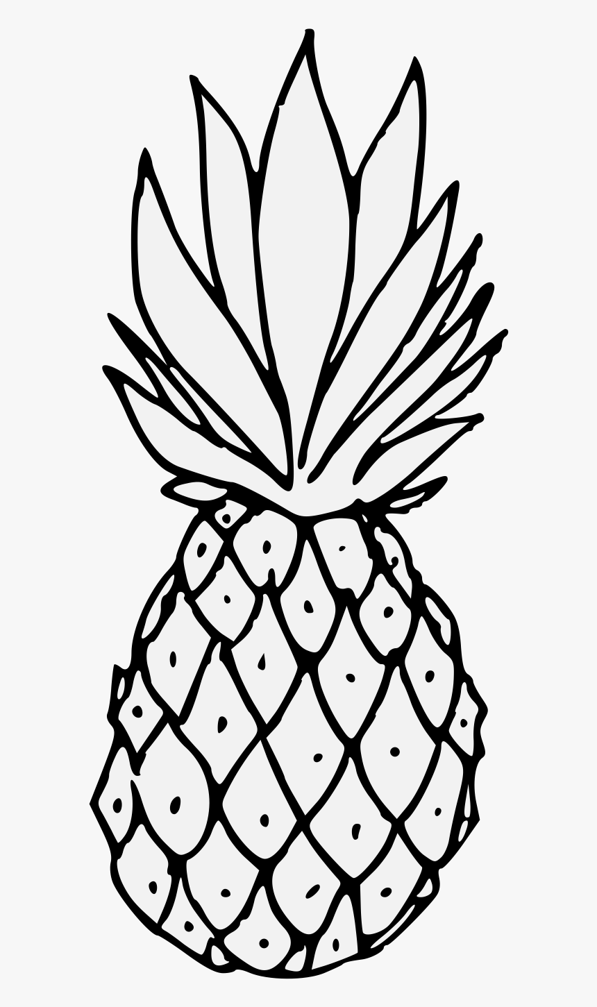 Transparent Pineapple Drawing Png - Heraldic Pineapple, Png Download, Free Download