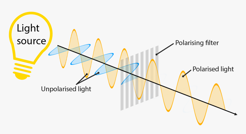 Enter Image Description Here - Polarized Light, HD Png Download, Free Download