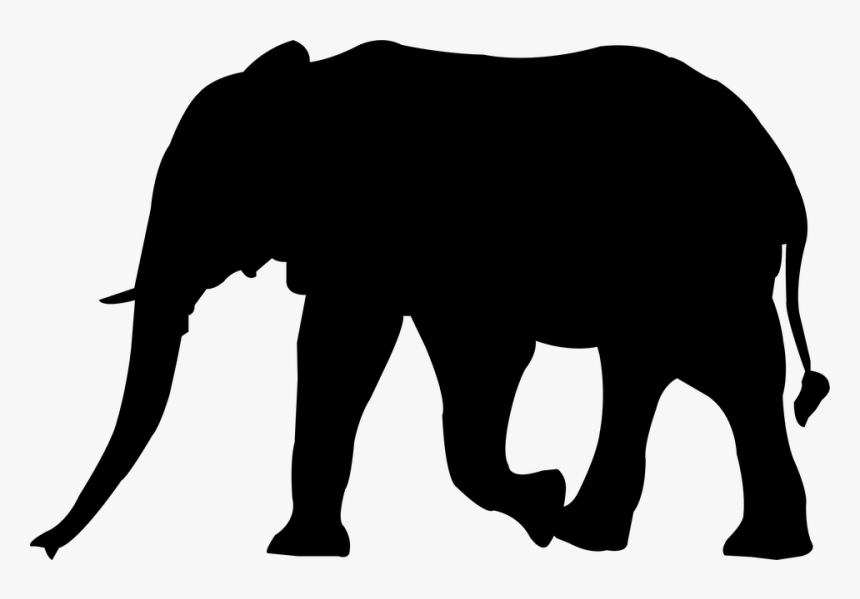 Africa Clipart Africa Nature - Zoo Animal Silhouette Clipart, HD Png Download, Free Download