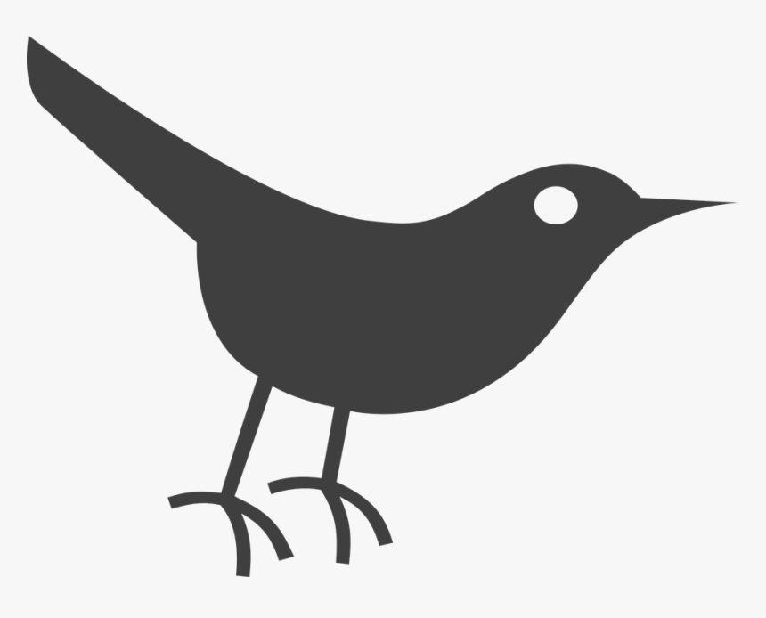 Bird, Gray, Black, Crow, Twitter - Bird Icon Png Free Download, Transparent Png, Free Download