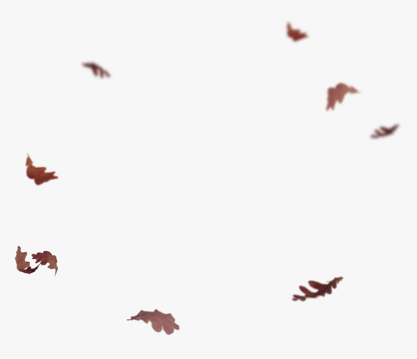 Transparent Flying Leaves Png - Fall Leaves Flying Png, Png Download, Free Download