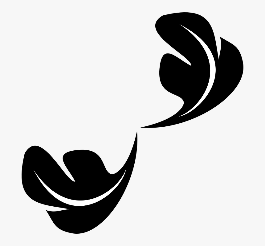 Feather, Flying, Soft, Flourish, Leaf, Leaves, Ornament - Png Leaf Ornament Icon, Transparent Png, Free Download