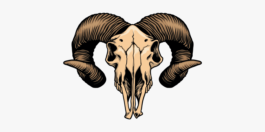 Goat-antelope - Goat Head Skull, HD Png Download, Free Download