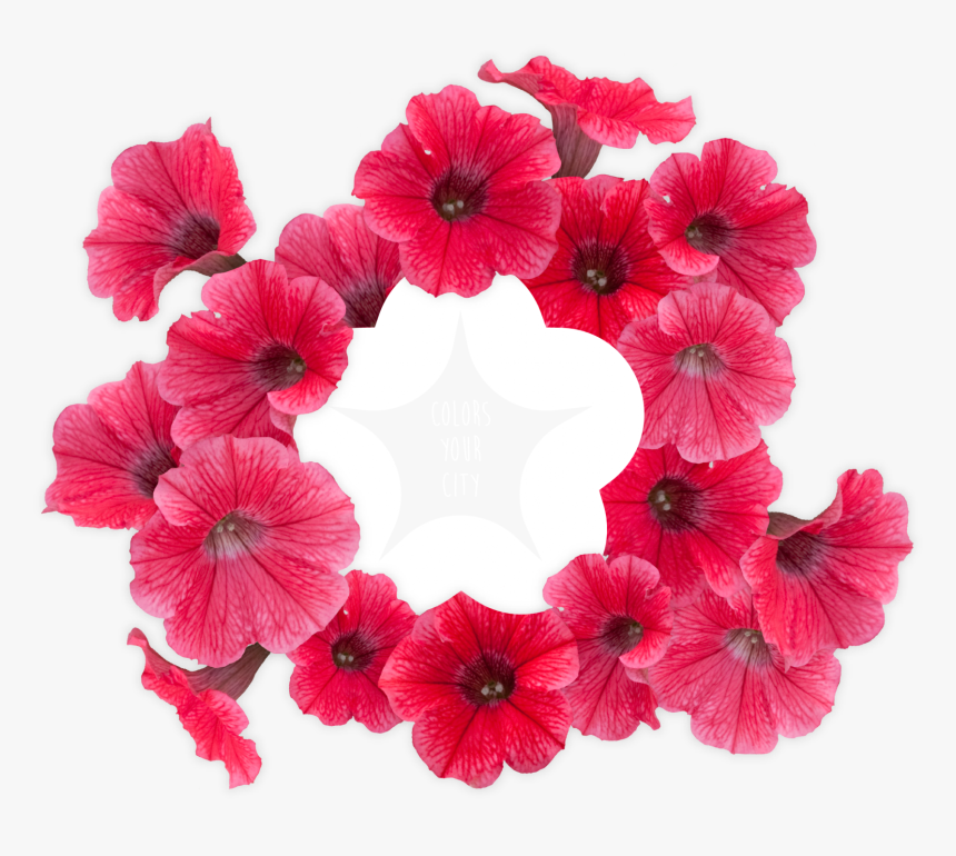 Petunia Png -surfinia® Trailing Red - Petunia, Transparent Png, Free Download