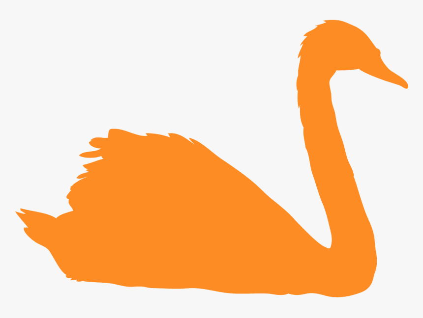 Yellow Swan, HD Png Download, Free Download