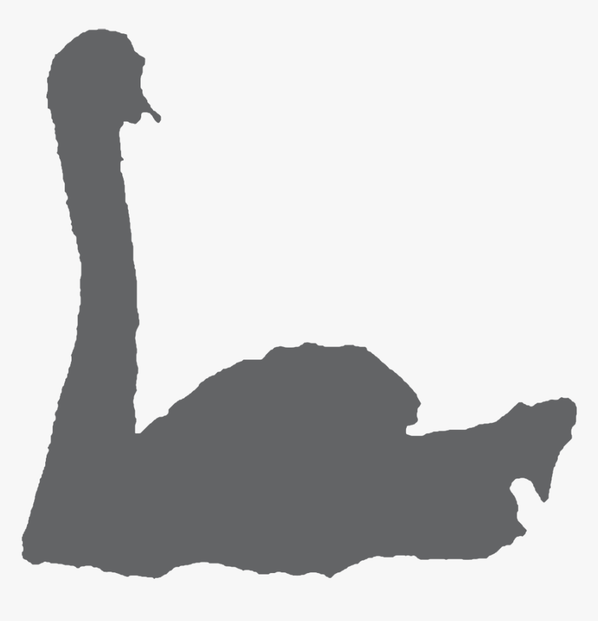 Swan In Water - Silhouette, HD Png Download, Free Download