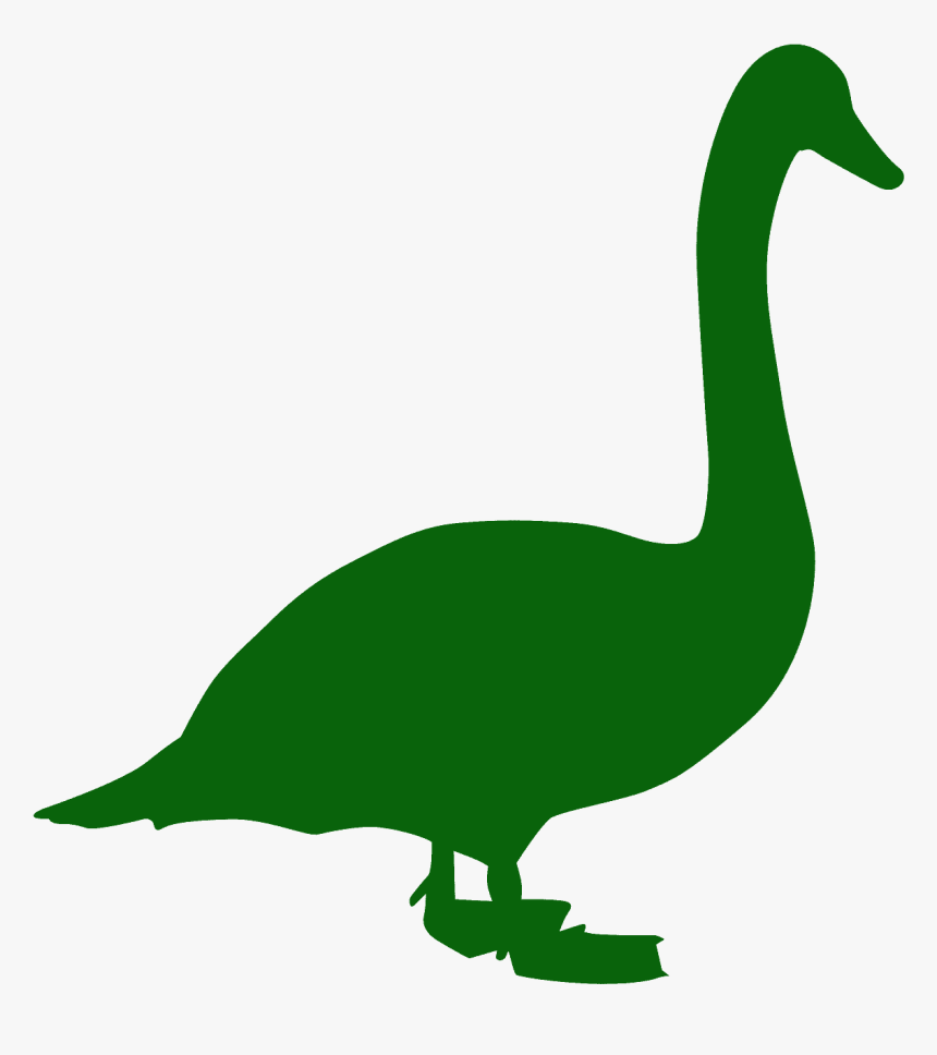 Duck, HD Png Download, Free Download