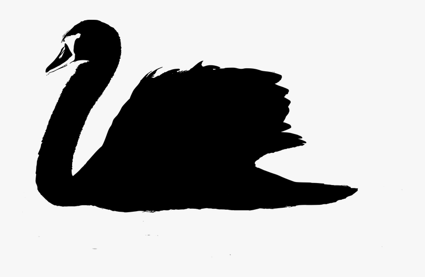 #sticker #silhouette #swan #freetoedit - Duck, HD Png Download, Free Download