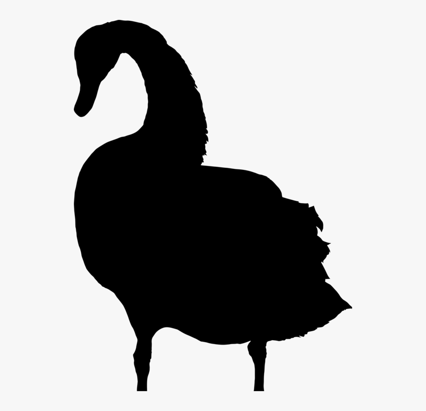 Bird Drawing Silhouette Black Swan Computer Icons - Geese Clipart Silhouette Png, Transparent Png, Free Download