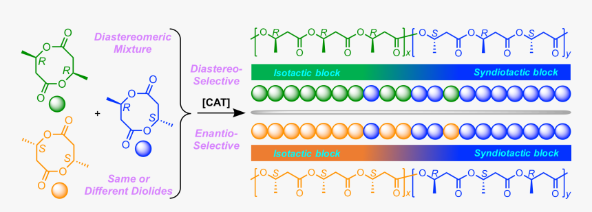 Diagram, HD Png Download, Free Download