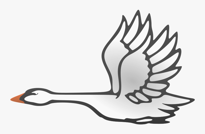 Clip Art In Flight Animals Pinterest - Flying Swan Clip Art, HD Png Download, Free Download