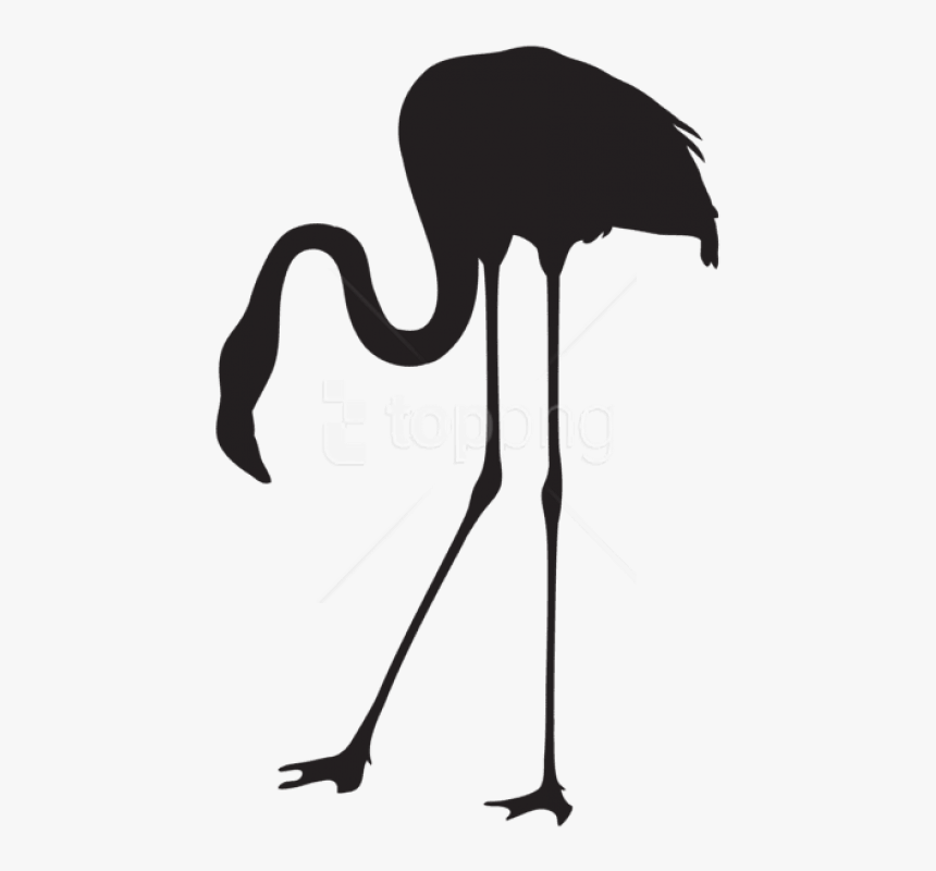 Download Flamingo Silhouette Png - Flamingo Silhouette Png, Transparent Png, Free Download