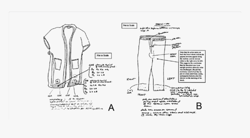 Drawing Scale Human - Forensic Analysis Of Clothes, HD Png Download, Free Download