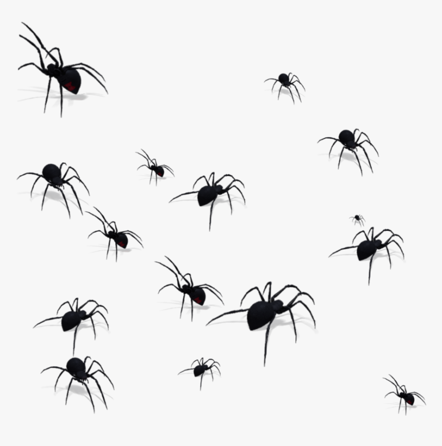 #spider #spiders #insect #blackinsect #ftestickers - Transparent Png Billie Eilish Png, Png Download, Free Download