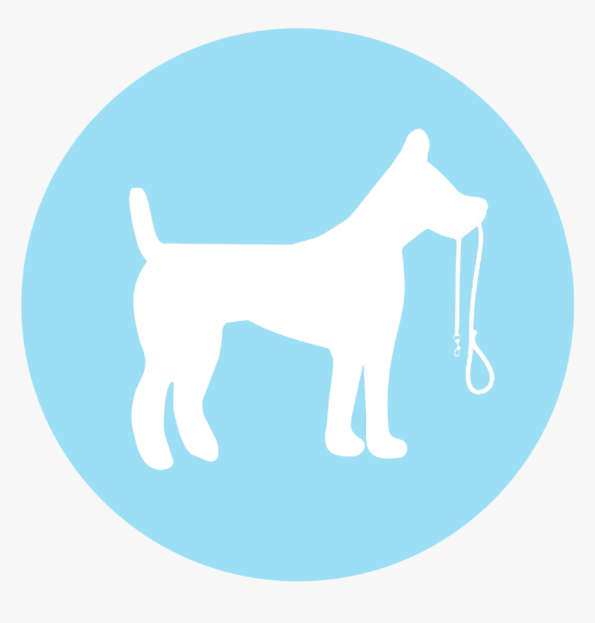 Non Communicable Disease Icon, HD Png Download, Free Download