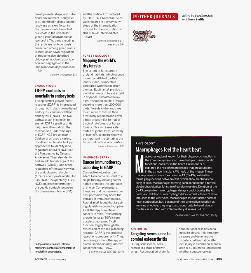 Document, HD Png Download, Free Download