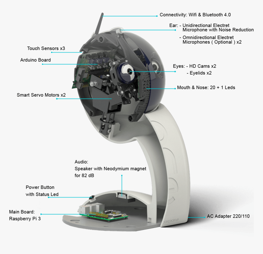 Facts Qbo Robot, HD Png Download, Free Download