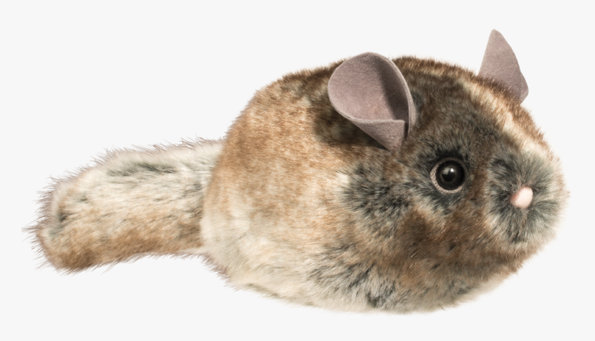 Camilla Chinchilla"

 
 Data Rimg="lazy"
 Data Rimg - Chinchilla Plush, HD Png Download, Free Download