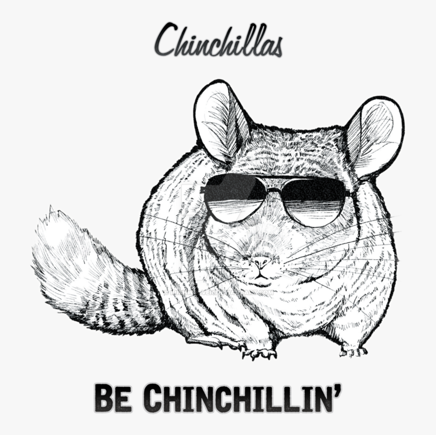 Transparent Chinchilla Png - Chinchilla Art Transparent, Png Download, Free Download