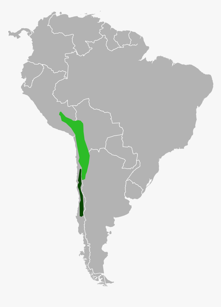 Map Of Where Chinchillas Live, HD Png Download, Free Download