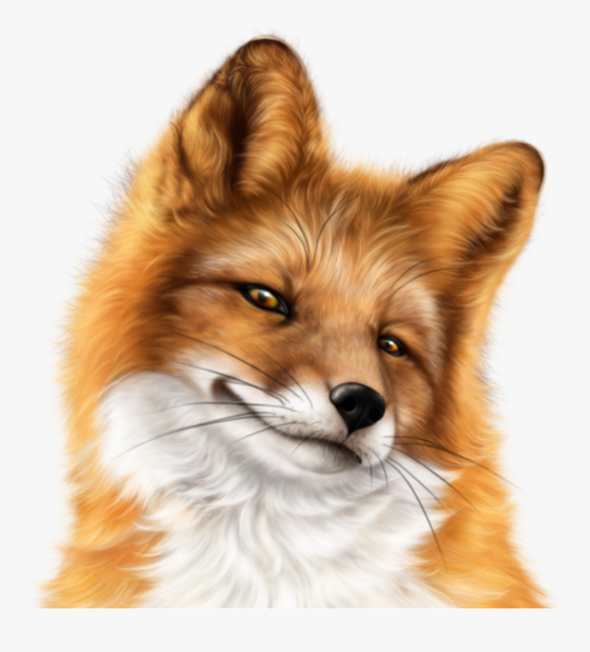 #snarky #fox #face #freetoedit - Tubes Psp Fox, HD Png Download, Free Download