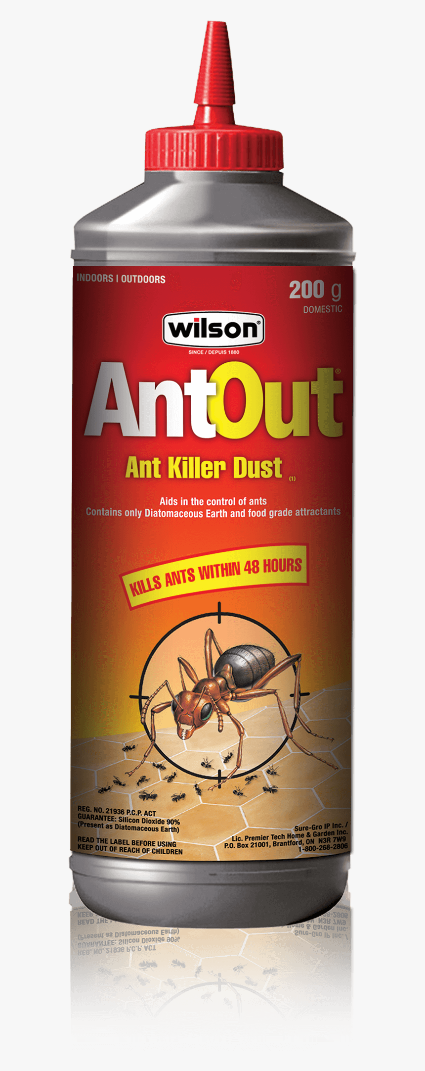 Wilson Antout Dust - Ant Out, HD Png Download, Free Download