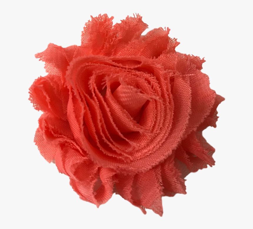 Garden Roses, HD Png Download, Free Download