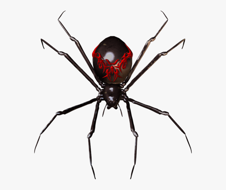 Spider Widget Clip Art - Black Widow Spider Transparent, HD Png Download, Free Download