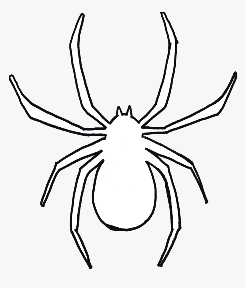 Spider Clipart Drawn Free On Transparent Png - Spider Black And White Clipart, Png Download, Free Download