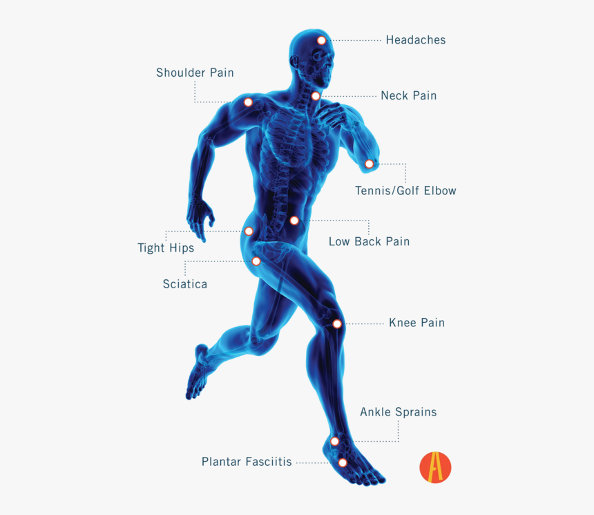 Reach Chiropractic Recovery Treatments In Plymouth, - Running 3d Full X Ray, HD Png Download, Free Download