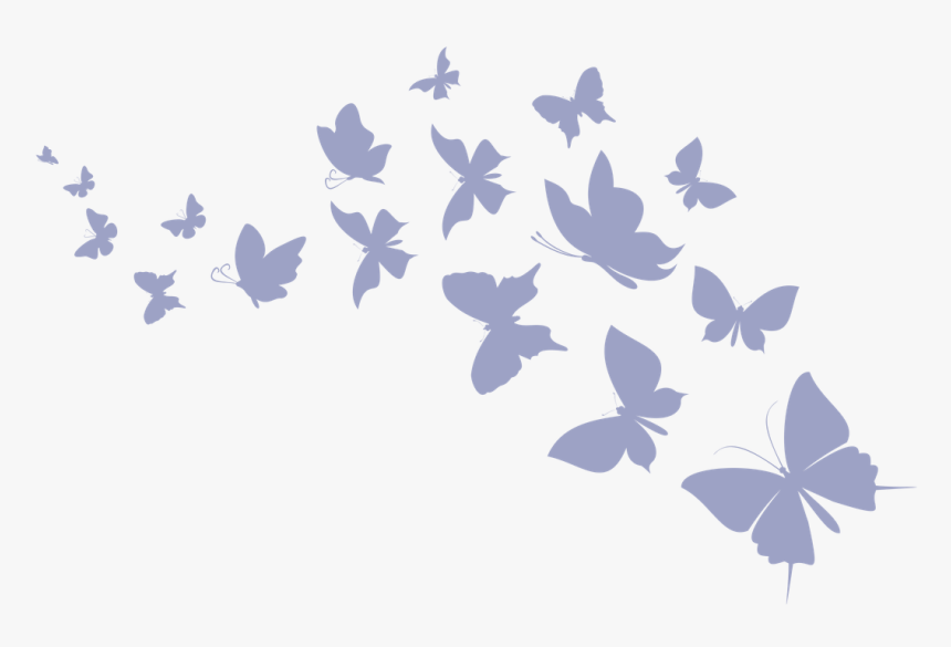 Flock Of Butterfly Silhouette, HD Png Download, Free Download