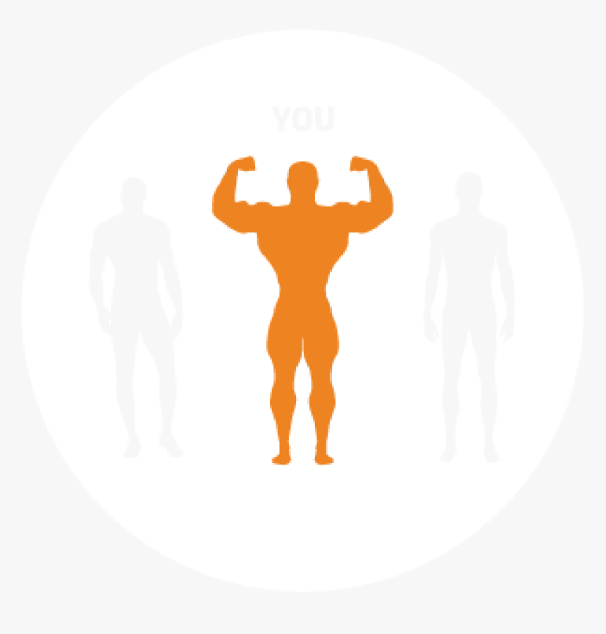 Bodybuilding, HD Png Download, Free Download