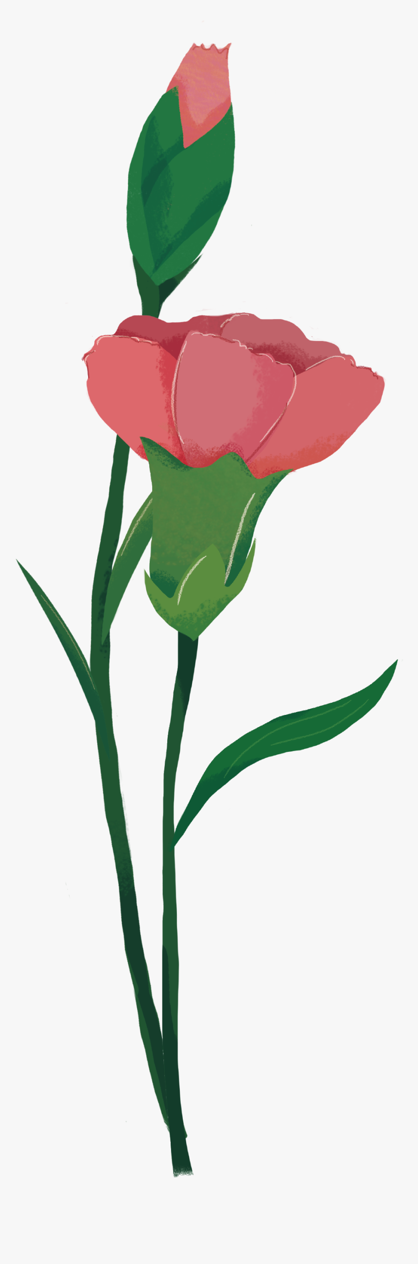 Hand Painted Cartoon Flat Flower Decoration Vector - Iris, HD Png Download, Free Download