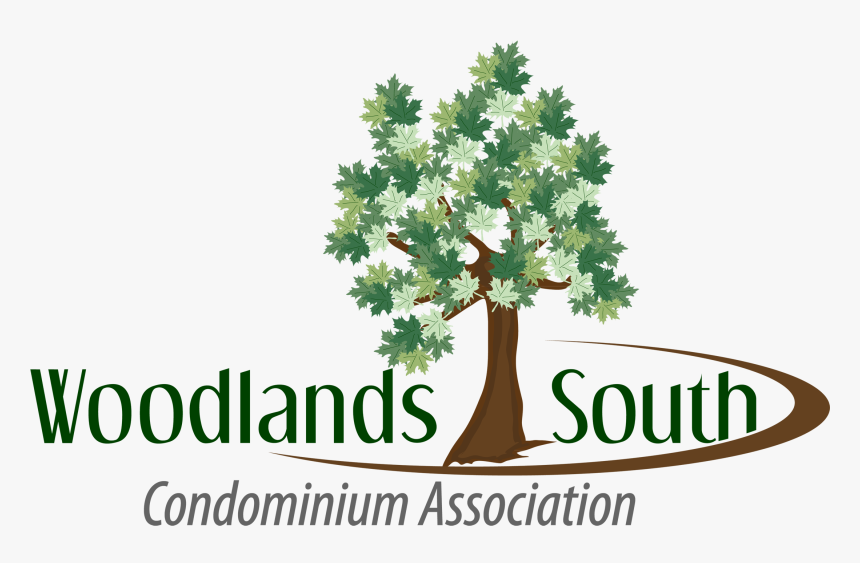 Woodlands South - Tree, HD Png Download, Free Download