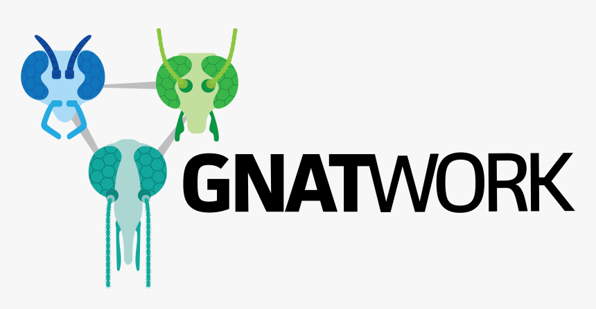 Gnatwork Vetor, HD Png Download, Free Download