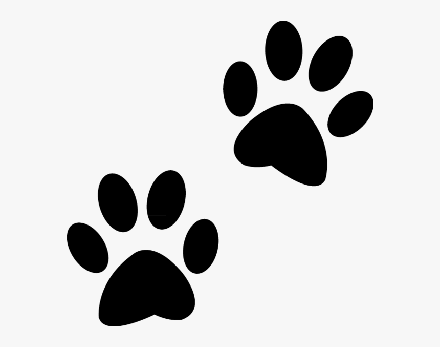 cat paw dog paw