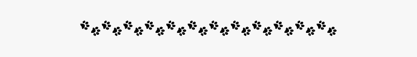 Puppy Paw Border Png Transparent Images - Slope, Png Download, Free Download