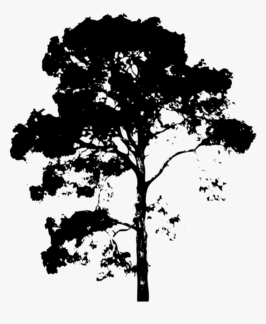 Vector Tree Png - Tree Psd, Transparent Png, Free Download