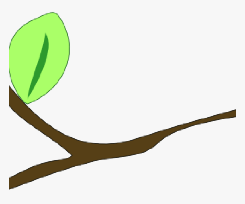 Transparent Tree Branch With Leaves Clipart, HD Png Download, Free Download