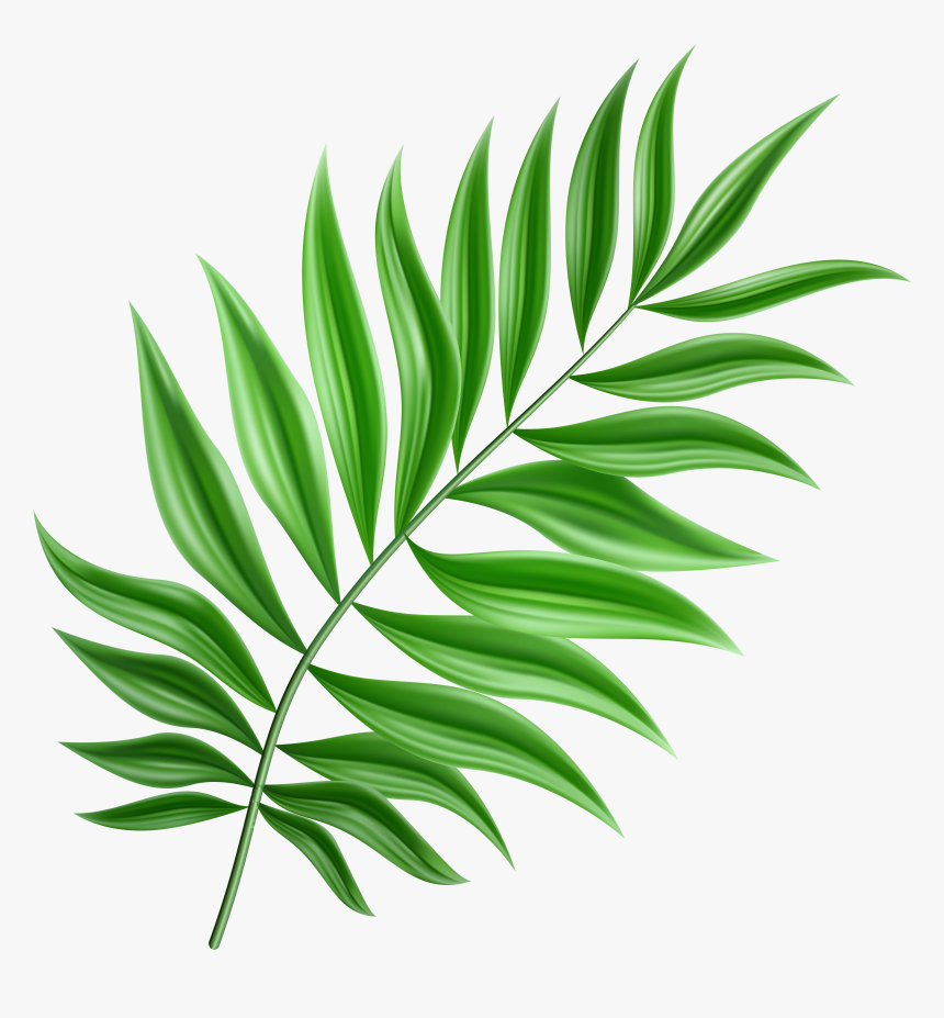 Clip Art Green Png Gallery Yopriceville - Palm Leaf Clipart Png, Transparent Png, Free Download