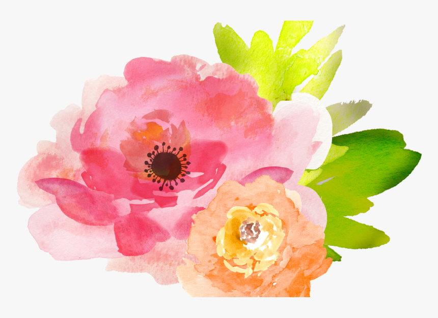19 Free Watercolor Flower Graphic Transparent Download - Free Watercolor Flower Transparent, HD Png Download, Free Download