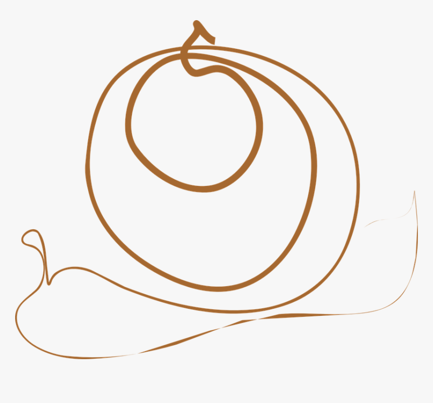 Snail, Shell, Abstract, Brown, Circles, Line - Abstract Brown In Png, Transparent Png, Free Download